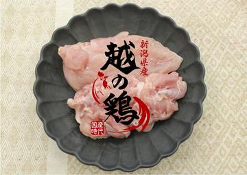 越の鶏samnail.jpg